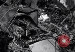 Standbild L-5 Shingbwiyang Birma, 1945, aus Sekunde 38 historischem Filmmaterial Videoclip 65675037635