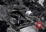 Standbild L-5 Shingbwiyang Birma, 1945, aus Sekunde 39 historischem Filmmaterial Videoclip 65675037635