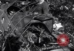 Standbild L-5 Shingbwiyang Birma, 1945, aus Sekunde 40 historischem Filmmaterial Videoclip 65675037635