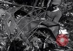 Standbild L-5 Shingbwiyang Birma, 1945, aus Sekunde 41 historischem Filmmaterial Videoclip 65675037635