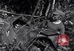 Standbild L-5 Shingbwiyang Birma, 1945, aus Sekunde 42 historischem Filmmaterial Videoclip 65675037635