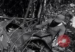 Standbild L-5 Shingbwiyang Birma, 1945, aus Sekunde 43 historischem Filmmaterial Videoclip 65675037635