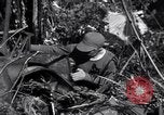 Standbild L-5 Shingbwiyang Birma, 1945, aus Sekunde 45 historischem Filmmaterial Videoclip 65675037635