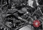 Standbild L-5 Shingbwiyang Birma, 1945, aus Sekunde 46 historischem Filmmaterial Videoclip 65675037635