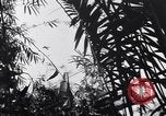 Standbild L-5 Shingbwiyang Birma, 1945, aus Sekunde 48 historischem Filmmaterial Videoclip 65675037635