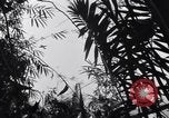 Standbild L-5 Shingbwiyang Birma, 1945, aus Sekunde 49 historischem Filmmaterial Videoclip 65675037635