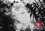 Standbild L-5 Shingbwiyang Birma, 1945, aus Sekunde 50 historischem Filmmaterial Videoclip 65675037635