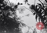 Standbild L-5 Shingbwiyang Birma, 1945, aus Sekunde 51 historischem Filmmaterial Videoclip 65675037635