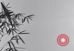 Standbild L-5 Shingbwiyang Birma, 1945, aus Sekunde 57 historischem Filmmaterial Videoclip 65675037635