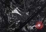 Standbild L-5 Shingbwiyang Birma, 1945, aus Sekunde 62 historischem Filmmaterial Videoclip 65675037635