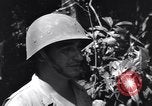 Standbild Lieutenant William Diebold Shingbwiyang Birma, 1945, aus Sekunde 31 historischem Filmmaterial Videoclip 65675037636