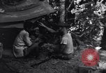 Standbild Lieutenant William Diebold Shingbwiyang Birma, 1945, aus Sekunde 62 historischem Filmmaterial Videoclip 65675037636