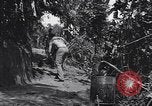 Standbild Captain R D Underwood Shingbwiyang Birma, 1945, aus Sekunde 7 historischem Filmmaterial Videoclip 65675037637
