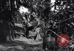 Standbild Captain R D Underwood Shingbwiyang Birma, 1945, aus Sekunde 9 historischem Filmmaterial Videoclip 65675037637