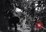 Standbild Captain R D Underwood Shingbwiyang Birma, 1945, aus Sekunde 12 historischem Filmmaterial Videoclip 65675037637