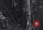 Standbild Sergent Bremer Shingbwiyang Birma, 1945, aus Sekunde 16 historischem Filmmaterial Videoclip 65675037638