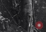 Standbild Sergent Bremer Shingbwiyang Birma, 1945, aus Sekunde 20 historischem Filmmaterial Videoclip 65675037638