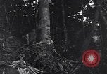 Standbild Sergent Bremer Shingbwiyang Birma, 1945, aus Sekunde 22 historischem Filmmaterial Videoclip 65675037638