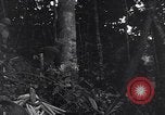 Standbild Sergent Bremer Shingbwiyang Birma, 1945, aus Sekunde 23 historischem Filmmaterial Videoclip 65675037638