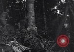 Standbild Sergent Bremer Shingbwiyang Birma, 1945, aus Sekunde 25 historischem Filmmaterial Videoclip 65675037638