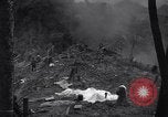 Standbild Sergent Bremer Shingbwiyang Birma, 1945, aus Sekunde 62 historischem Filmmaterial Videoclip 65675037638