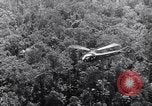 Immagine di Il capitano James Green Shingbwiyang Birmania, 1945, secondo 24 filmato di repertorio 65675037640
