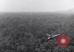Immagine di Il capitano James Green Shingbwiyang Birmania, 1945, secondo 27 filmato di repertorio 65675037640