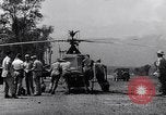 Immagine di Il capitano James Green Shingbwiyang Birmania, 1945, secondo 57 filmato di repertorio 65675037640