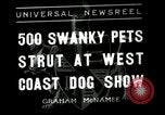 Standbild jährliche dog show Santa Cruz California USA, 1936, aus Sekunde 1 historischem Filmmaterial Videoclip 65675037654