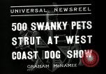 Standbild jährliche dog show Santa Cruz California USA, 1936, aus Sekunde 3 historischem Filmmaterial Videoclip 65675037654