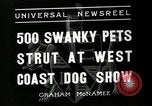 Standbild jährliche dog show Santa Cruz California USA, 1936, aus Sekunde 4 historischem Filmmaterial Videoclip 65675037654