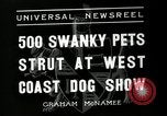 Standbild jährliche dog show Santa Cruz California USA, 1936, aus Sekunde 5 historischem Filmmaterial Videoclip 65675037654