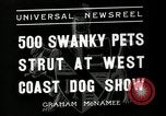 Standbild jährliche dog show Santa Cruz California USA, 1936, aus Sekunde 6 historischem Filmmaterial Videoclip 65675037654