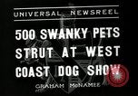 Standbild jährliche dog show Santa Cruz California USA, 1936, aus Sekunde 7 historischem Filmmaterial Videoclip 65675037654