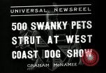 Standbild jährliche dog show Santa Cruz California USA, 1936, aus Sekunde 9 historischem Filmmaterial Videoclip 65675037654