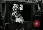 Standbild jährliche dog show Santa Cruz California USA, 1936, aus Sekunde 23 historischem Filmmaterial Videoclip 65675037654