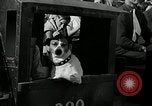 Standbild jährliche dog show Santa Cruz California USA, 1936, aus Sekunde 24 historischem Filmmaterial Videoclip 65675037654
