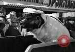 Standbild jährliche dog show Santa Cruz California USA, 1936, aus Sekunde 25 historischem Filmmaterial Videoclip 65675037654