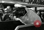 Standbild jährliche dog show Santa Cruz California USA, 1936, aus Sekunde 26 historischem Filmmaterial Videoclip 65675037654