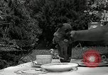 Image Pinscher miniature New Jersey United States USA, 1936, de la seconde 24 séquences d'archives historiques vidéo 65675037655