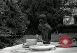 Image Pinscher miniature New Jersey United States USA, 1936, de la seconde 29 séquences d'archives historiques vidéo 65675037655