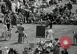 Immagine di Dog show Madison New Jersey USA, 1935, secondo 16 filmato di repertorio 65675037668
