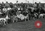 Immagine di Dog show Madison New Jersey USA, 1935, secondo 33 filmato di repertorio 65675037668