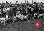 Immagine di Dog show Madison New Jersey USA, 1935, secondo 34 filmato di repertorio 65675037668