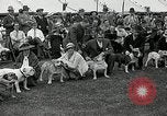 Immagine di Dog show Madison New Jersey USA, 1935, secondo 36 filmato di repertorio 65675037668