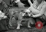 Immagine di Dog show Madison New Jersey USA, 1935, secondo 41 filmato di repertorio 65675037668