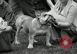 Immagine di Dog show Madison New Jersey USA, 1935, secondo 42 filmato di repertorio 65675037668