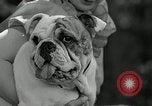 Immagine di Dog show Madison New Jersey USA, 1935, secondo 53 filmato di repertorio 65675037668