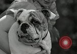 Immagine di Dog show Madison New Jersey USA, 1935, secondo 54 filmato di repertorio 65675037668