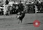 Standbild Rodeo Sterne Ventura California USA, 1935, aus Sekunde 50 historischem Filmmaterial Videoclip 65675037670